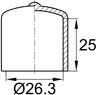 PM26,3x25