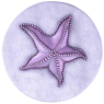 Sclpt Starfish