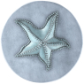 Sclpt Starfish
