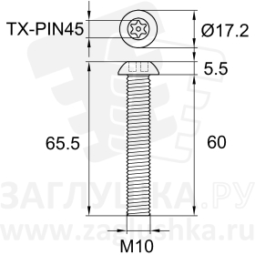ART9121-M10x60 TX-PIN45A2