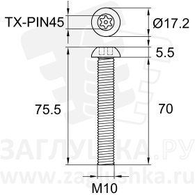 ART9121-M10x70 TX-PIN45A2