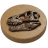 Sclpt Dino Head