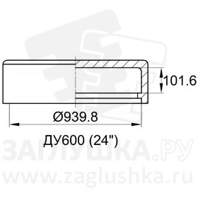 CAL24-600