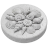 Sclpt Seashells