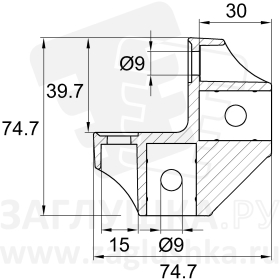 WZ-80x80