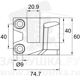 WZ-80x80