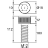 DIN912-M12x100